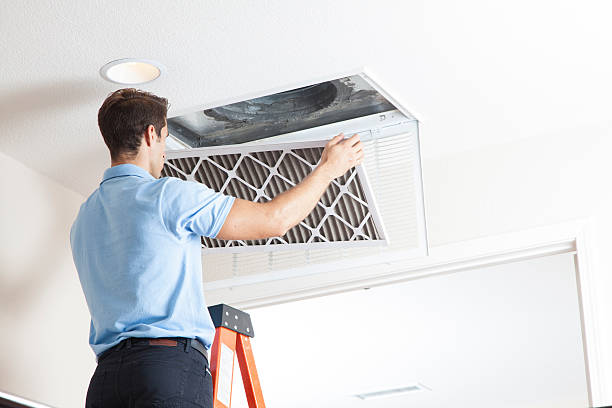 Best Local HVAC Companies  in Pleasureville, KY